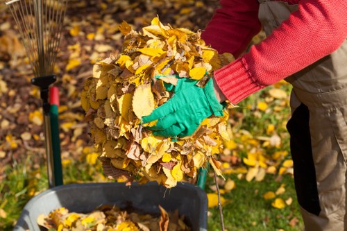 Introduction to builders waste clearance in Westminster